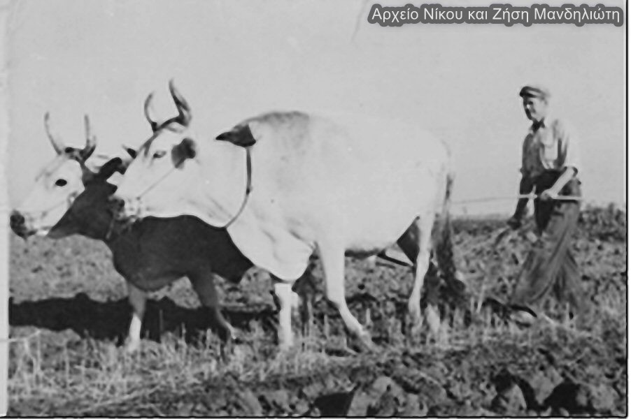 Αρχείο Ν. & Ζ. Μανδηλιώτη