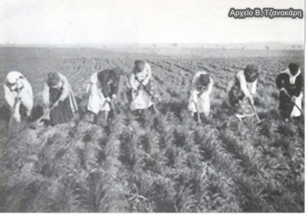 Αρχείο Β. Τζανακάρη